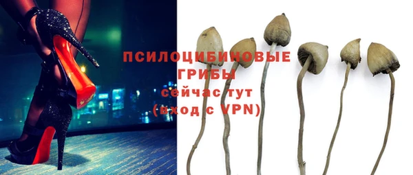 ешки Баксан
