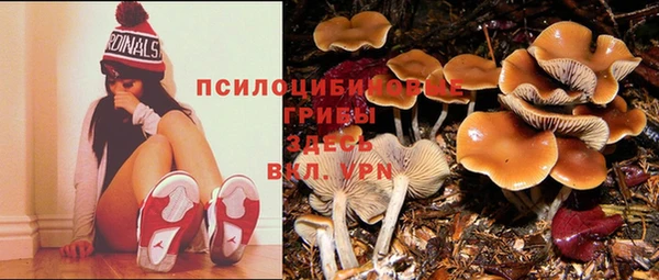 ешки Баксан