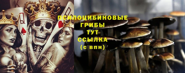 ешки Баксан