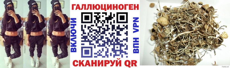 Галлюциногенные грибы Psilocybe  где можно купить наркотик  Вуктыл 
